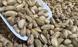 Fıstık İhracatında İlk Çeyrek Bilançosu 32,8 Milyon Dolar Oldu