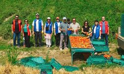 Gençlik ve Spor Bakanlığı Gönüllü Hasat 2026 Programını Açıkladı