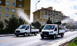 Gölbaşı Belediyesi Yılın On İki Ayı Haşerelerle Savaşıyor