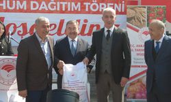 Gölbaşı'nda Nohut Üretimi Artacak, 67 Üreticiye 30 Ton Nohut Dağıtılıyor