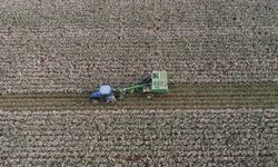 Hürmüz Boğazı Tıkandı, Tarımda Gübre ve Enerji Krizi Kapıda