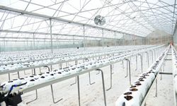 Kahramankazan ve ABB El Ele Verdi, Soğucak'ta Üretim Başladı