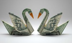 Kara Kuğu Teorisi Nedir? Ekonomide Risk ve Belirsizlik