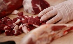 Kırmızı Ette Arz Güvenliği için "Yerli Embriyo" Dönemi