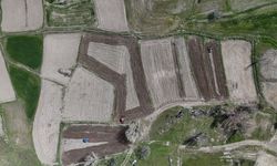 Kızılcahamam’da 40 Yıllık Özlem Bitti, Pirinç Geri Döndü