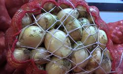 Kuru Soğanda Dünyada Üretim Azaldı, Türkiye’nin İhracatı 29 Ülkeye Çıktı