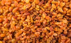 Kuru Üzümde 32 Bin Tonluk İhracat: 65 Ülke Türk Üzümü Tercih Etti