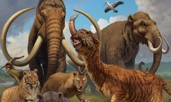 Nesli Tükenmiş Hayvanları Geri Getirmek Mümkün mü?