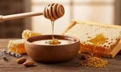 Bal Üretiminde Yeni Dönem: Denetimler Petekten Başlayacak