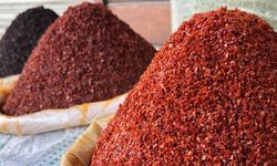 Türkiye Üç Ayda 66 Ülkeye Pul Biber İhraç Etti