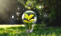 Sürdürülebilir Bir Yaşam için Evde Uygulanacak Kritik Adımlar