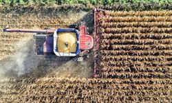 Tarımsal Girdi Endeksi Alarm Veriyor, Yıllık Artış Yüzde 30'u Aştı