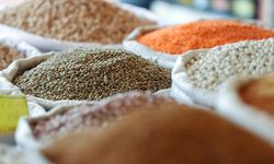 Türkiye'den 3 Ayda 2,8 Milyar Dolarlık İhracat: Ayçiçek Yağı İlk Sırada