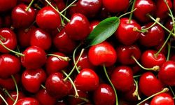 Kiraz Tatlıyken Vişne Neden Ekşidir?
