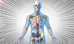 Vücudumuzdan Radyasyon Çıkıyor mu? Tehlikeli mi?