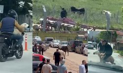 Ankara’da Kurban Bayramı’nın İlk Gününde Panik Dolu Anlar