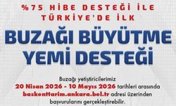 Beypazarı’nda Yüzde 75 Hibeli Buzağı Yemi Desteğinde Son Gün