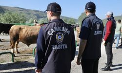Çankaya Belediyesi’nden Kurban Bayramında Tam Kadro Hizmet