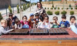 Çankaya’da Minik Eller Toprakla Buluştu: Çocuklar Tohum Ekti