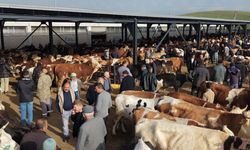 Başkan Demirbaş, Çubuk Canlı Hayvan Pazarı'nı Ziyaret Etti