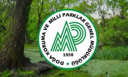 Doğa Koruma ve Milli Parklar Genel Müdürlüğü’nden 92 Sözleşmeli Personel Alım İlanı