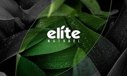Elite Naturel'den 2026'nın İlk 3 Ayında İhracat Patlaması: Hasılat 688 Milyon TL