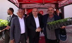 Keçiören’de Üreticilere Ücretsiz Fide Dağıtımı Yapıldı