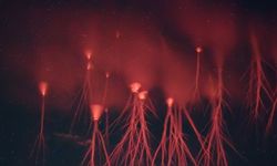 Atmosferik Bir Doğa Olayı Olan Kızıl Cin (Red Sprite) Nedir?