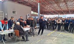 Sincan’da Besicilerin Yerleri Kura ile Belirlendi
