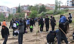 Mamak Belediyesi Dünya İklim Günü'nde Fidanları Toprakla Buluşturdu