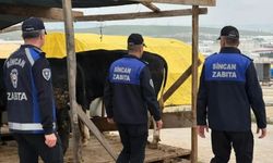 Sincan Belediyesi'nden Kurban Pazarlarına Sıkı Denetim