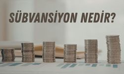 Sübvanse Kavramı Nedir? Devlet Destekleri Nasıl İşler