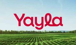 Yayla Agro’dan Yatırımcıya "Temettü Yok": 2025 Karı Şirketin Kasasında Kalıyor