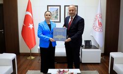 BİK Ankara Bölge Müdürü Çelik’ten Bartın Valisi Arslan’a Ziyaret