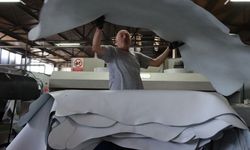 TOBB’dan Kurban Derileri için Ekonomiye Kazandırma Çağrısı