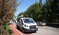 Gölbaşı'nda Haşere Seferberliği: Ekipler Dört Bir Yanda Sahaya İndi