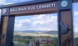 Nallıhan’da Turizm Gelirleri Öğrencilere Burs Olacak