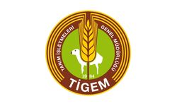TİGEM Polatlı Tesislerindeki 60 Bin Kilo Yapağıyı Satışa Çıkarıyor: İşte Tarih