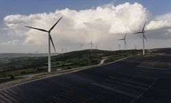 Türkiye ve Avustralya COP31 ile Yeşil Dönüşümün Yeni Rotasını Çiziyor