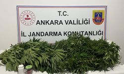 Haymana’da Kenevir Operasyonu: 1 Şüpheli Yakalandı
