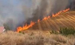 Beypazarı İlçe Jandarma Komutanlığı'ndan Anız Yangını Uyarısı