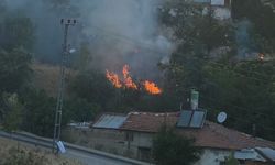 Ankara Mamak'ta Otluk Alanda Yangın Paniği