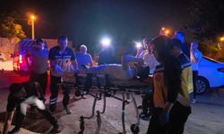 Bursa-Ankara Karayolunda Kontrolden Çıkan Motosiklet Levhaya Çarptı