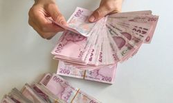 Devlet Bütçesi Nedir? Gelir ve Giderler Nasıl Belirlenir?