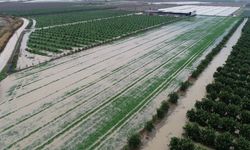 Türkiye'de 2026'nın İlk Yarısında 900 Bin Dekar Tarım Alanı Zarar Gördü
