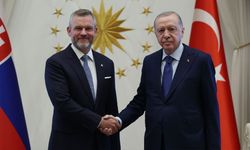 Erdoğan, Slovakya Lideri Pellegrini ile Bir Araya Geldi