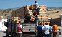 Güdül'de Arıcılara Yüzde 50 Hibeli 232 Kovan Dağıtıldı