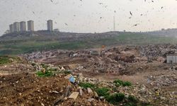 Çevreye Zarar Veren 222 İşletmenin Faaliyeti Durduruldu