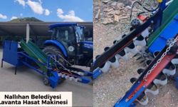 Nallıhan Belediyesinden Lavanta Üreticilerine Yeni Destek