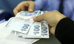 IPARD-III Programında Haziran Ödemeleri Hesaplara Aktarıldı